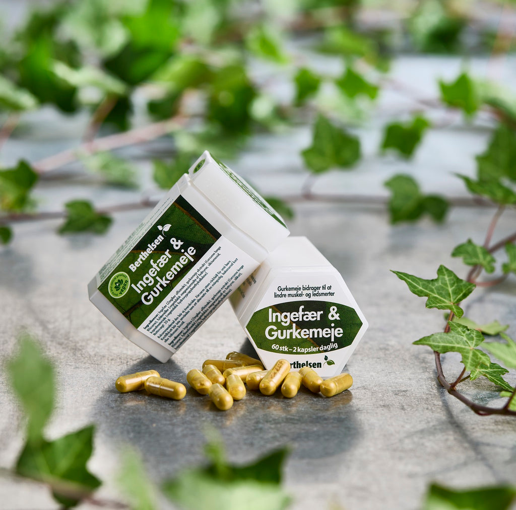 Ingefær og Gurkemeje