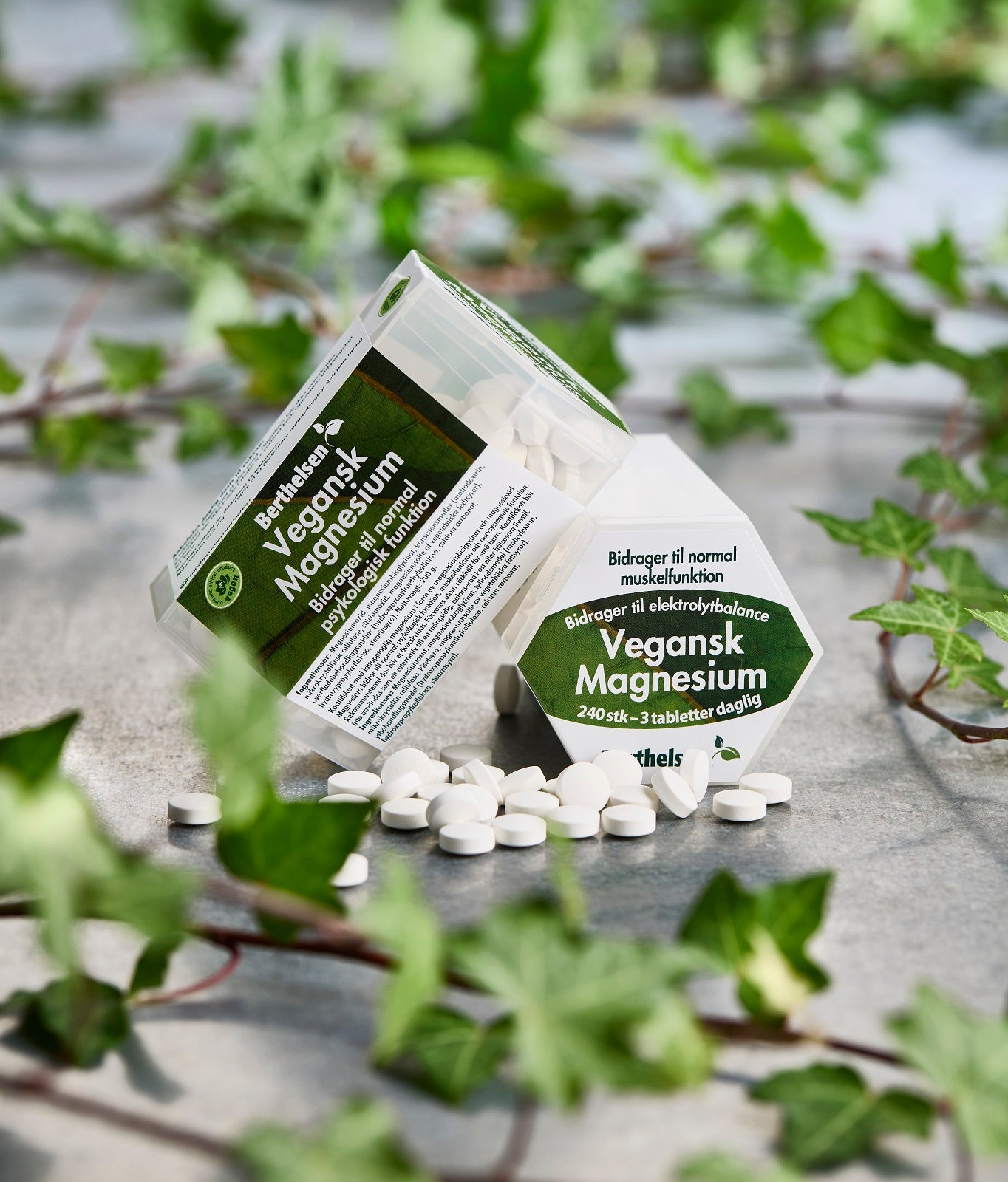 Vegansk Magnesium